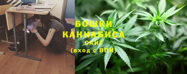 прущие грибы Нефтекумск