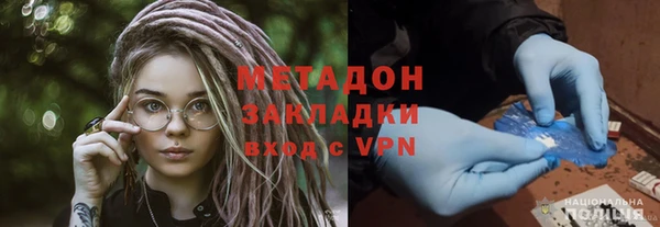 прущие грибы Нефтекумск