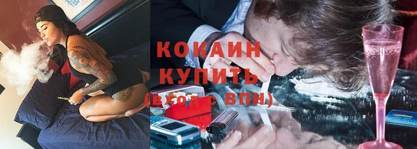 прущие грибы Нефтекумск