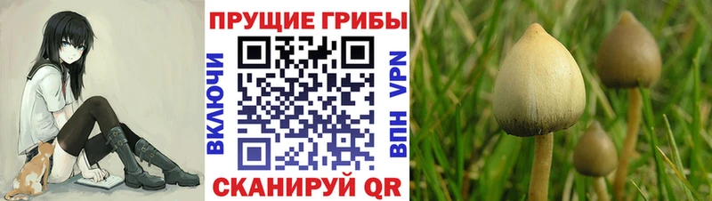 Псилоцибиновые грибы мухоморы  Райчихинск 